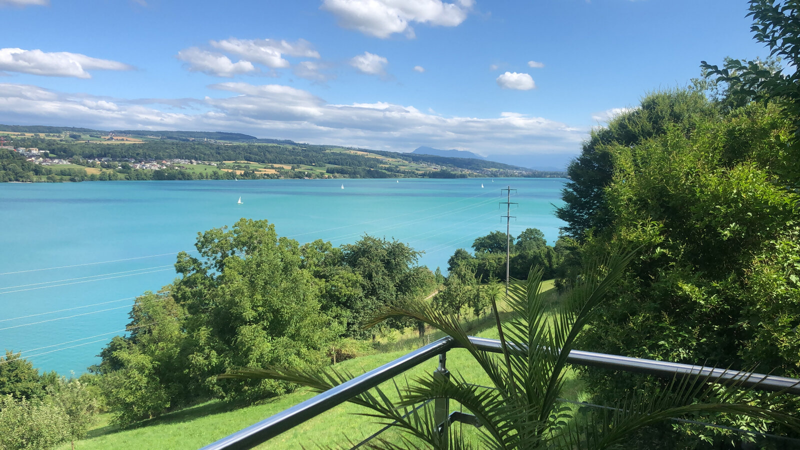 Blick auf den Hallwilersee vom Atelier aus